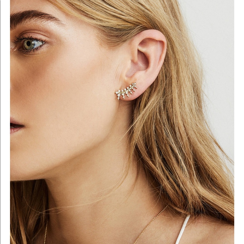 Laurie ear climbers